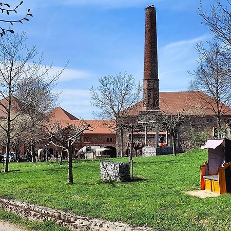 Tinyhousebeidresden 1 - Direkt Am Naturteich - Naehe Saechsische Schweiz, Dresden Großharthau Eksteriør billede
