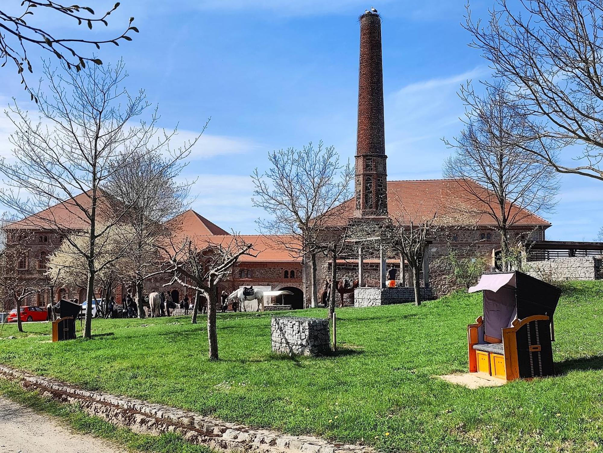 Tinyhousebeidresden 1 - Direkt Am Naturteich - Naehe Saechsische Schweiz, Dresden Großharthau Eksteriør billede